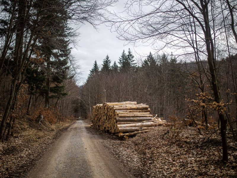 Harz