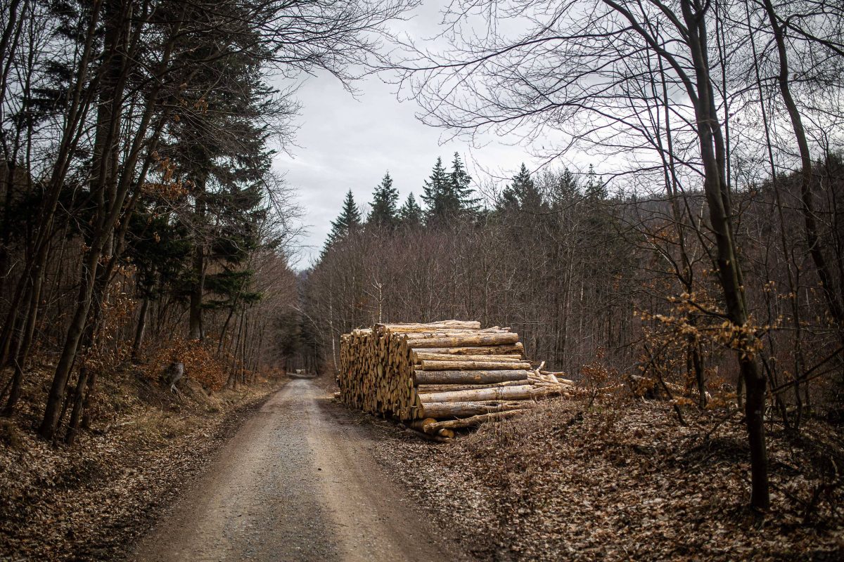 Harz