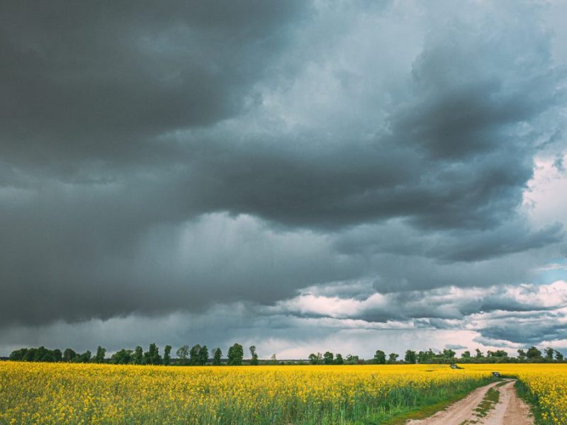 Unschöne Aussichten beim Wetter in Niedersachsen! (Symbolbild)