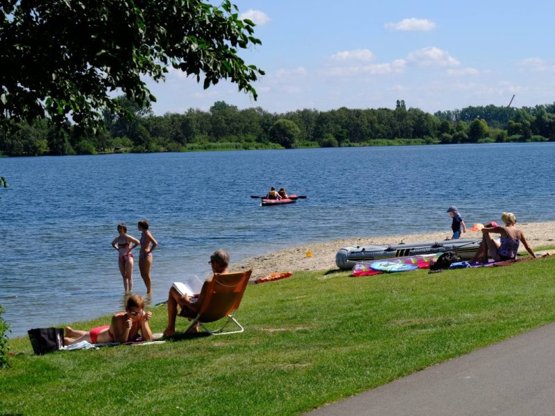 Der Allersee in Wolfsburg ist aktuell ein Fall fürs Labor. Warum er teilweise so rot ist, soll schnellstmöglich geklärt werden.