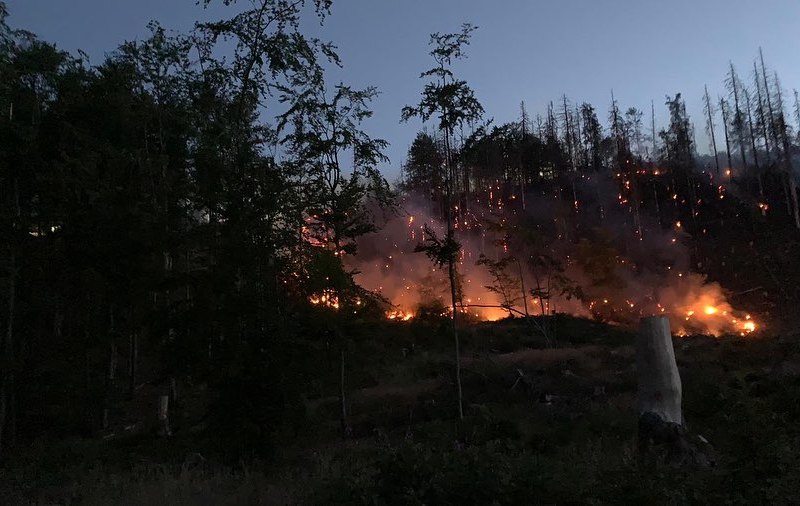 Harz Feuer