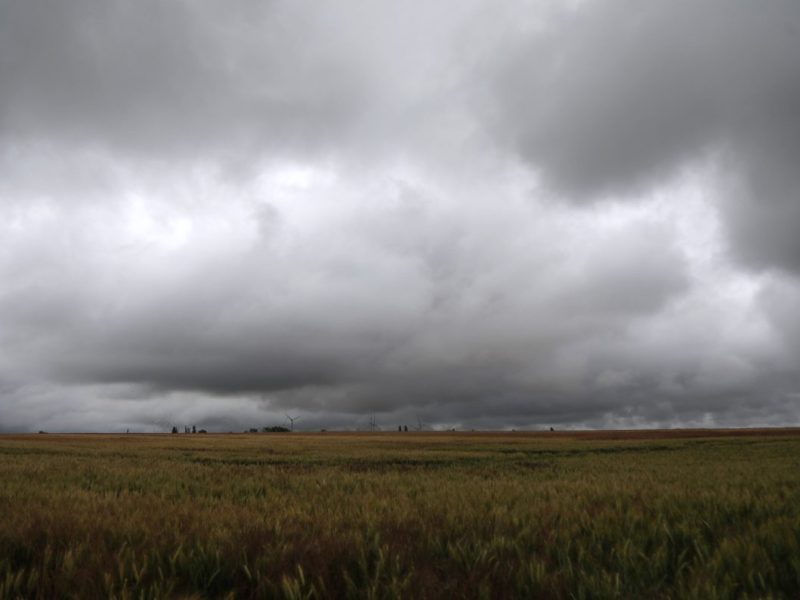 Düstere Wolken über einem Feld