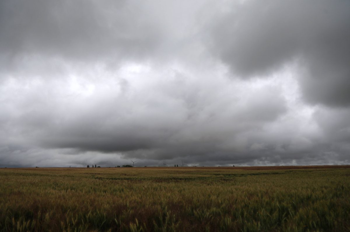 Düstere Wolken über einem Feld