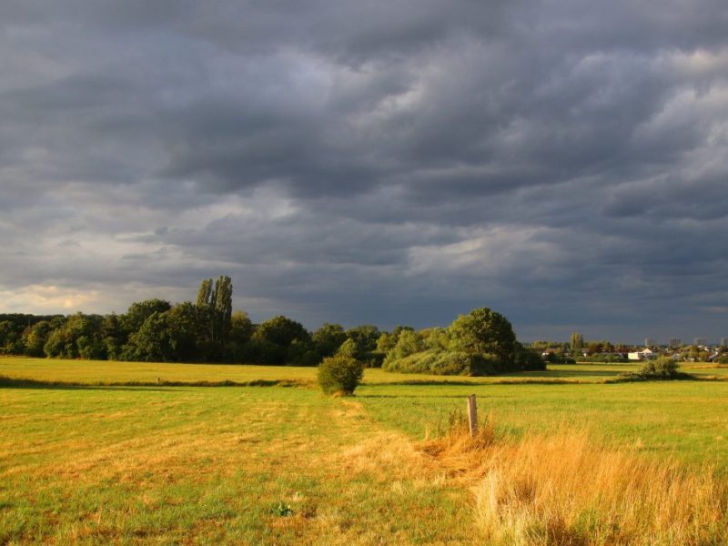 Dunkle Gewitterwolken über einem Feld