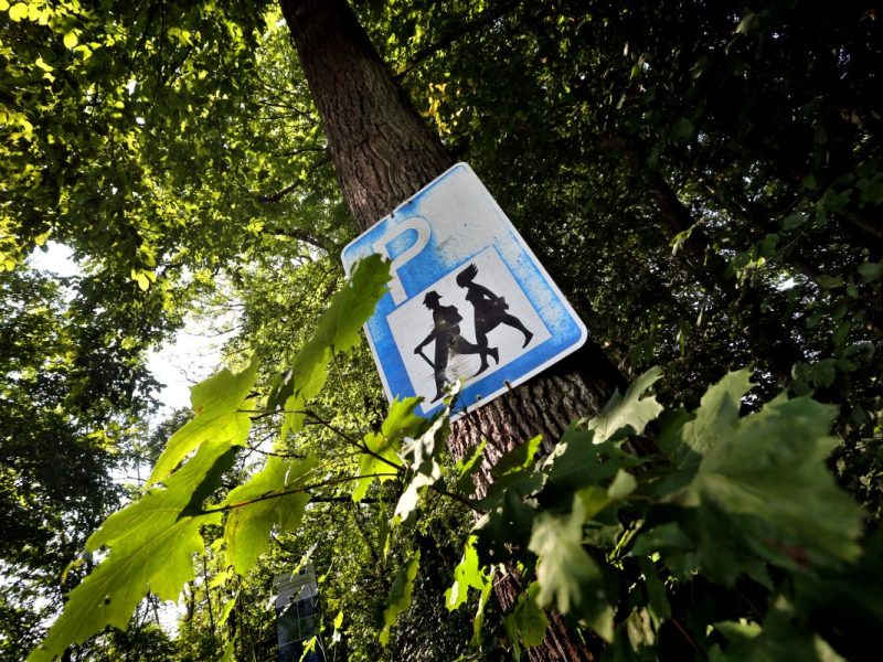 Tatort war der Waldparkplatz an der B1 in Königslutter.