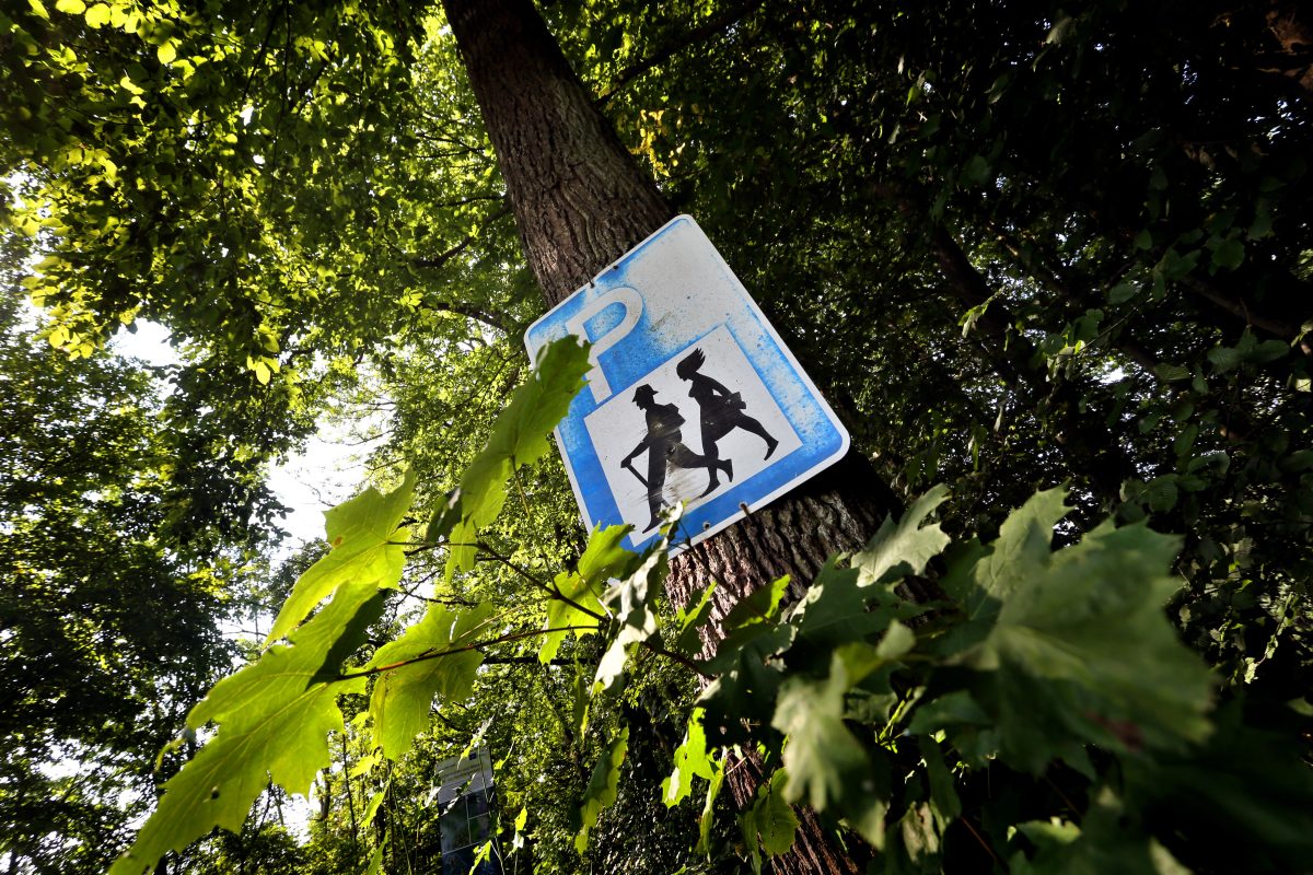 Tatort war der Waldparkplatz an der B1 in Königslutter.