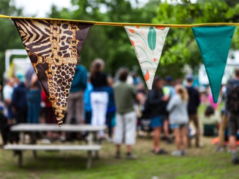 Sommerzeit ist Festivalzeit! So auch in Braunschweig. In der Löwenstadt soll ein ganz besonderes Event stattfinden, das es so noch nie gab.
