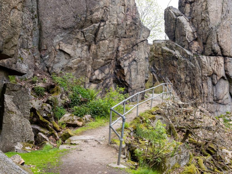 Harz