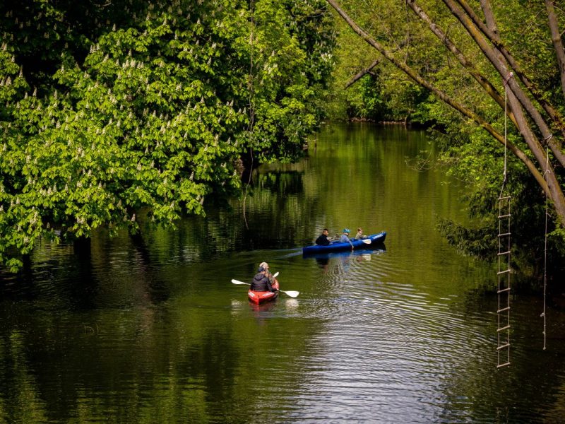Kanufahrer auf der Braunschweiger Oker
