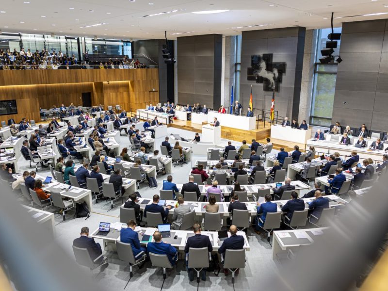 Das Bundesamt für Verfassungsschutz stuft die AfD als rechtsextremistischen Verdachtsfall ein. Auch einige Mitglieder des niedersächsischen Landtags stehen unter Beobachtung.