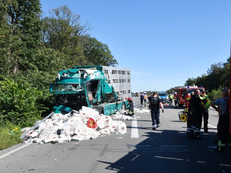a2 braunschweig