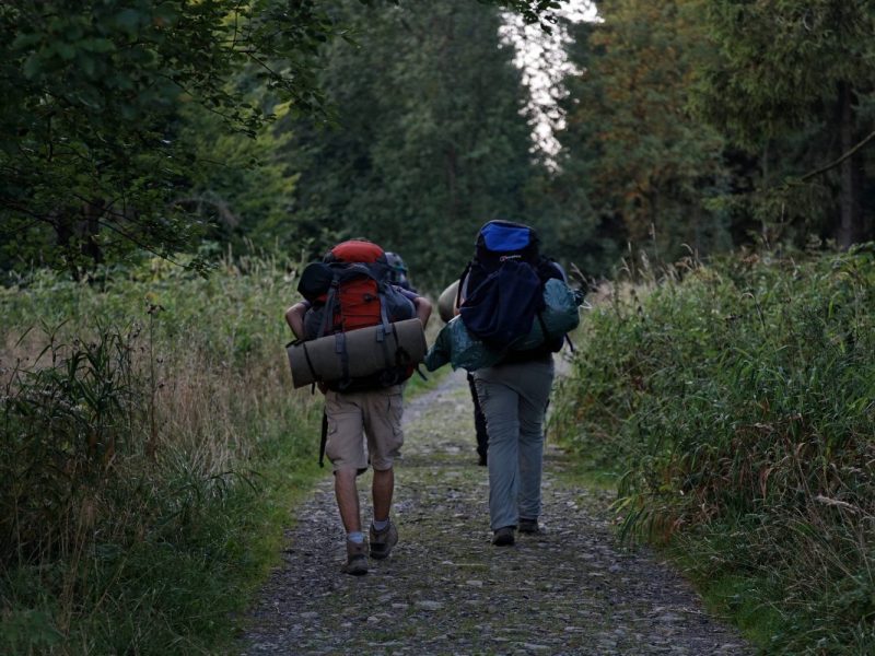 Im Harz gibt es wieder mal ein neues Highlight. Es verspricht nicht nur stramme Waden, sondern auch jede Menge Wissen über Flora und Fauna.