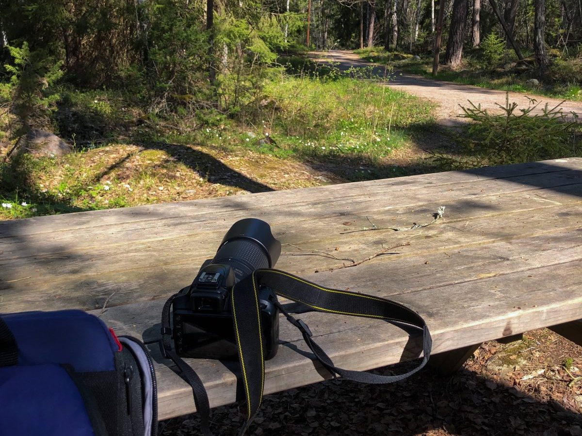 Kamera liegt im Wald auf einer Bank