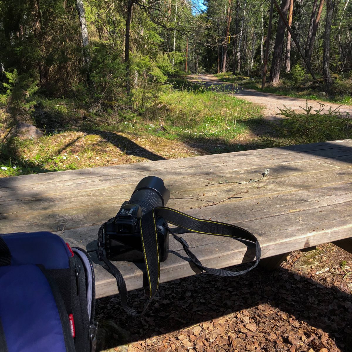 Kamera liegt im Wald auf einer Bank