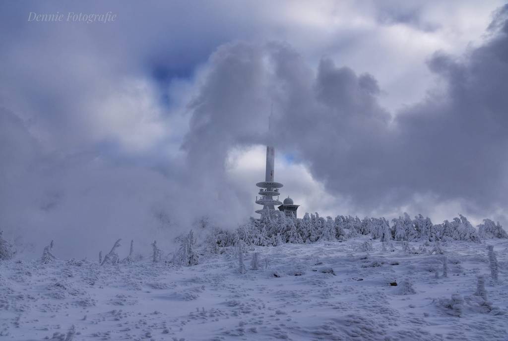 Harz 