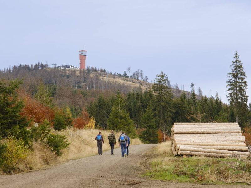 Wanderer im Harz