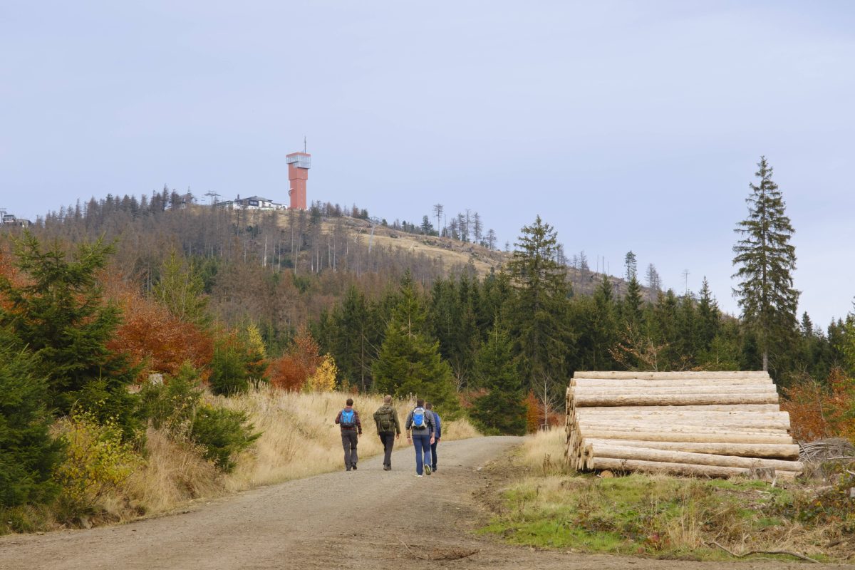 Wanderer im Harz