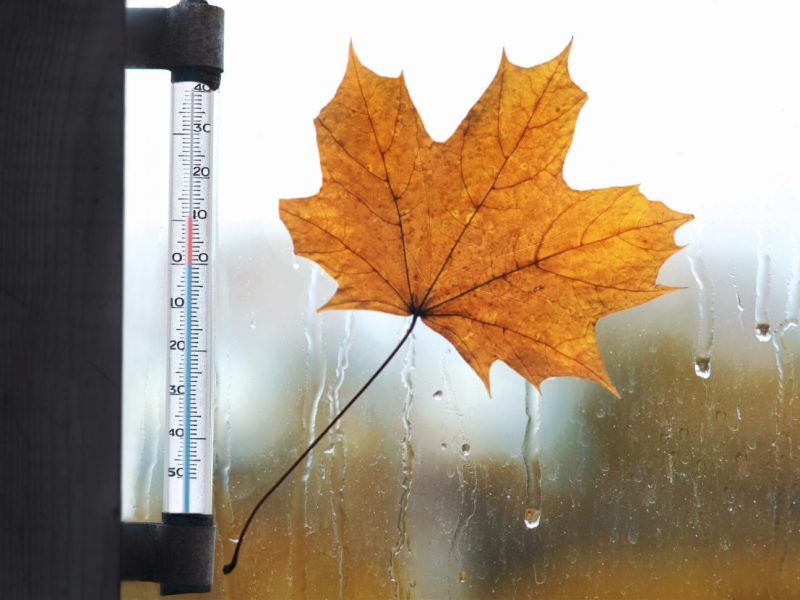 Wetter in Niedersachsen