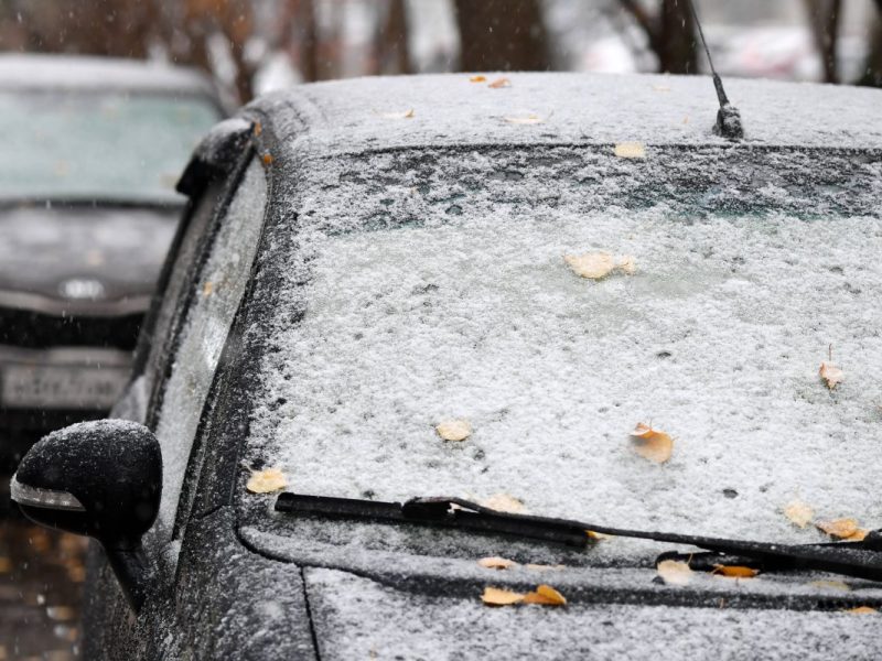 Wetter in Niedersachsen: Neuschnee-Bingo