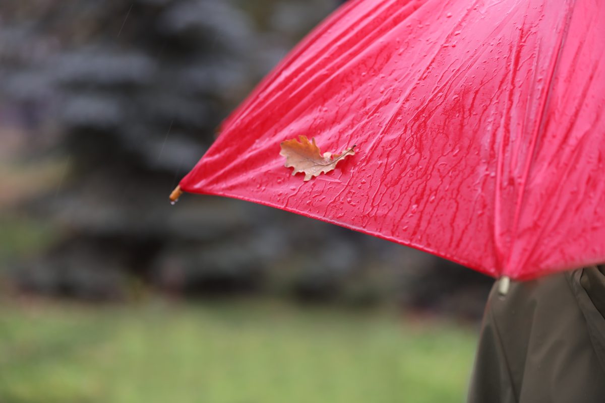 Regenschirm Herbst