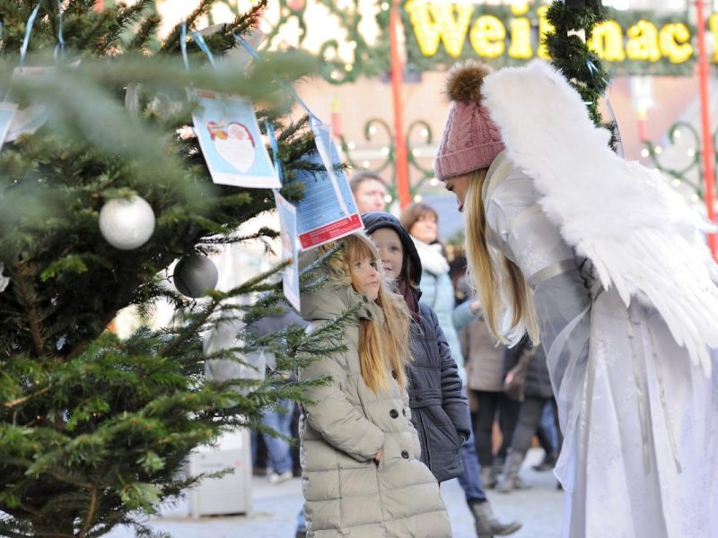 Am Samstag (2. Dezember) wartet der AAI-Wunschbaum von 10 bis 17 Uhr auf großzügige Schenker.