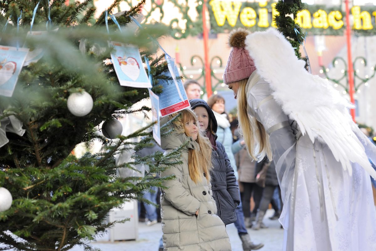 Am Samstag (2. Dezember) wartet der AAI-Wunschbaum von 10 bis 17 Uhr auf großzügige Schenker.