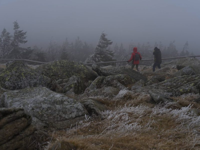 Wetter im Harz