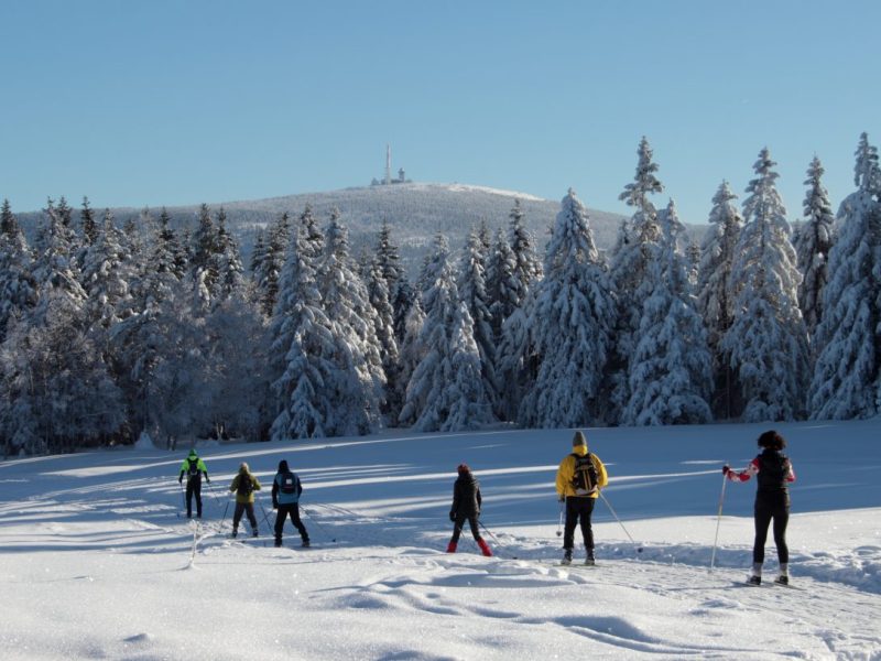 Pack die Skier ein! Im Harz kannst dich schon in einige Loipen stürzen. (Archivbild)
