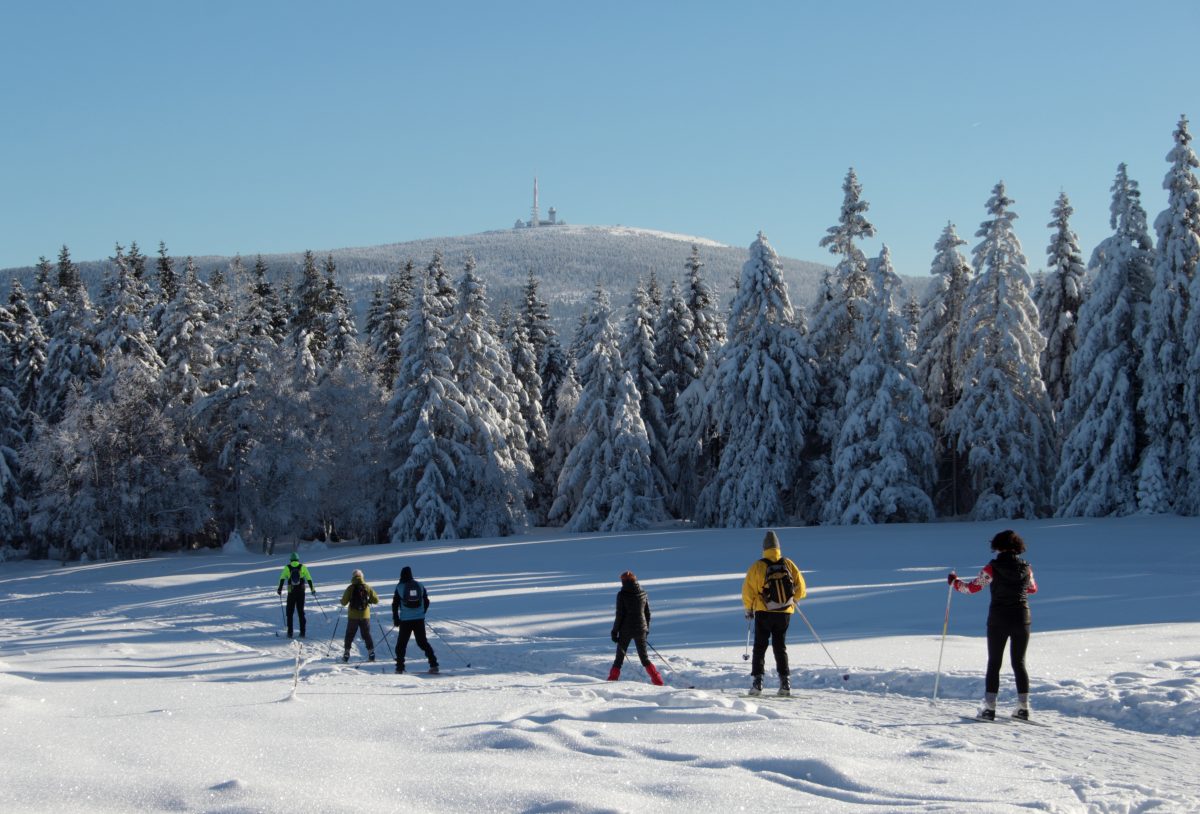 Pack die Skier ein! Im Harz kannst dich schon in einige Loipen stÃ¼rzen. (Archivbild)