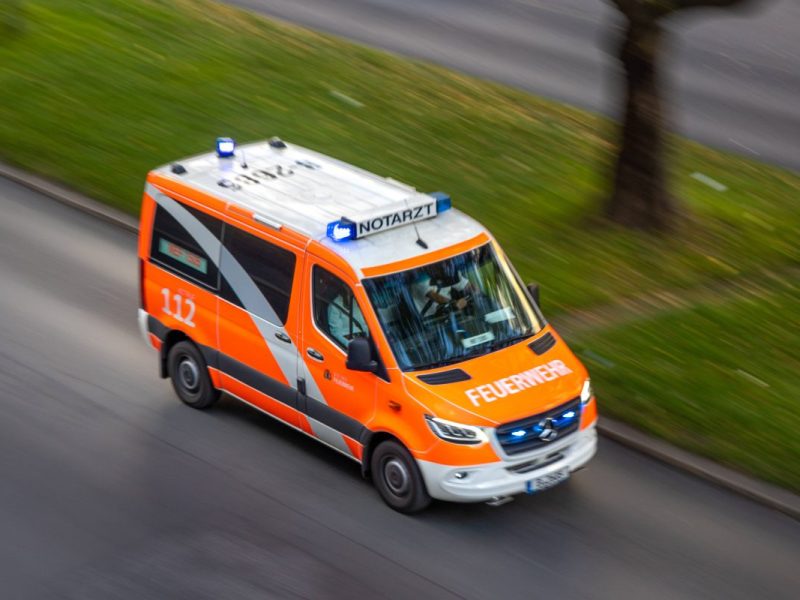 kreis gifhorn