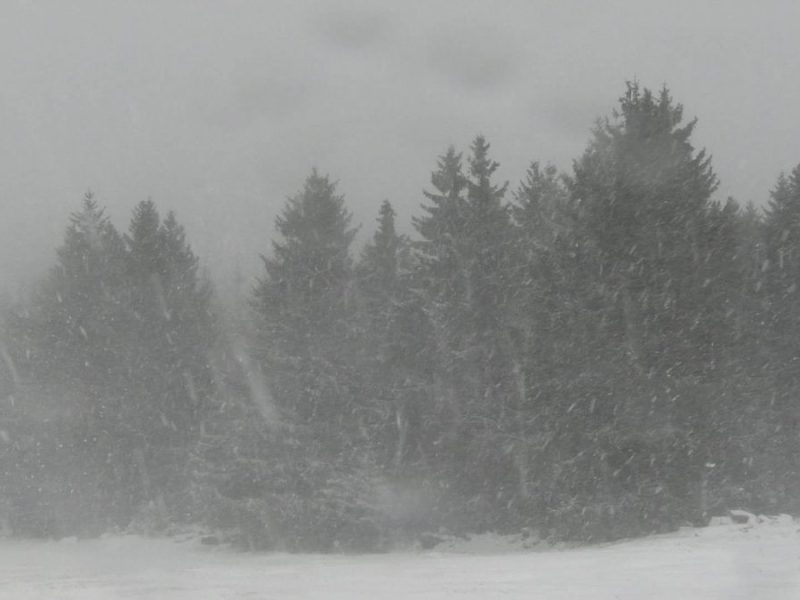 Das Wetter in Niedersachsen ist winterlich und verschneit. Was genau dich erwartet, kannst du hier nachlesen. (Symbolbild)