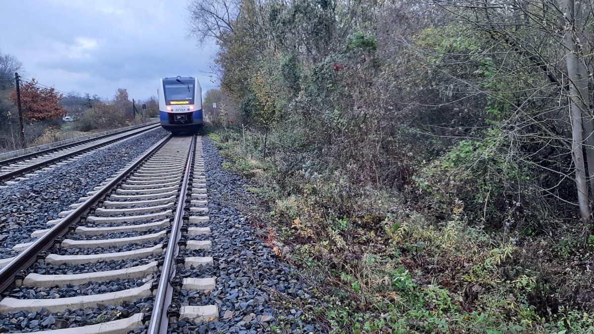 Der stehende Zug und der abgerissene Zaun an der Bahnstrecke.