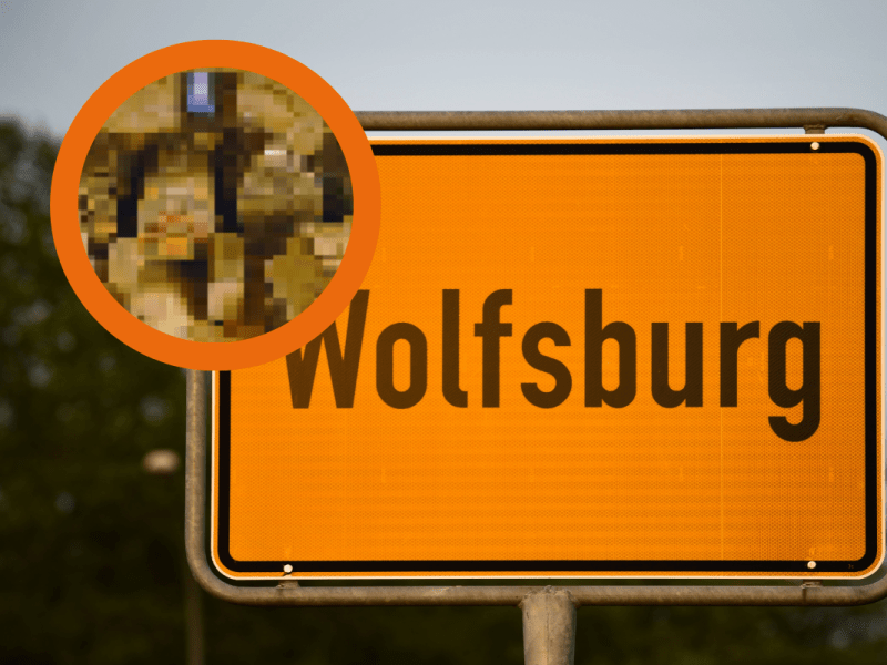Wolfsburg