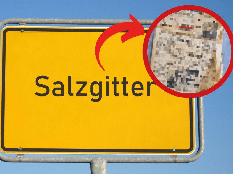 Salzgitter