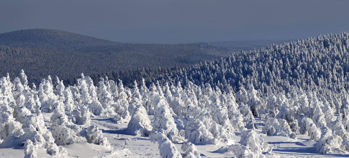 Harz