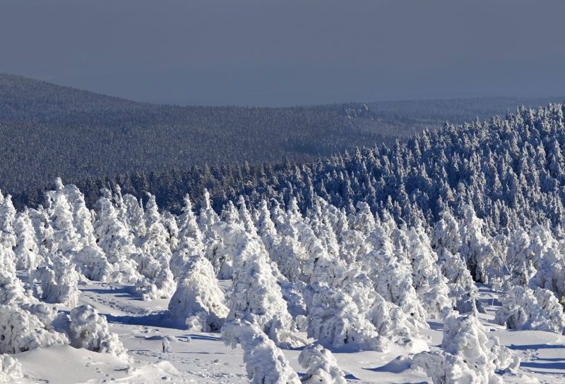 Harz