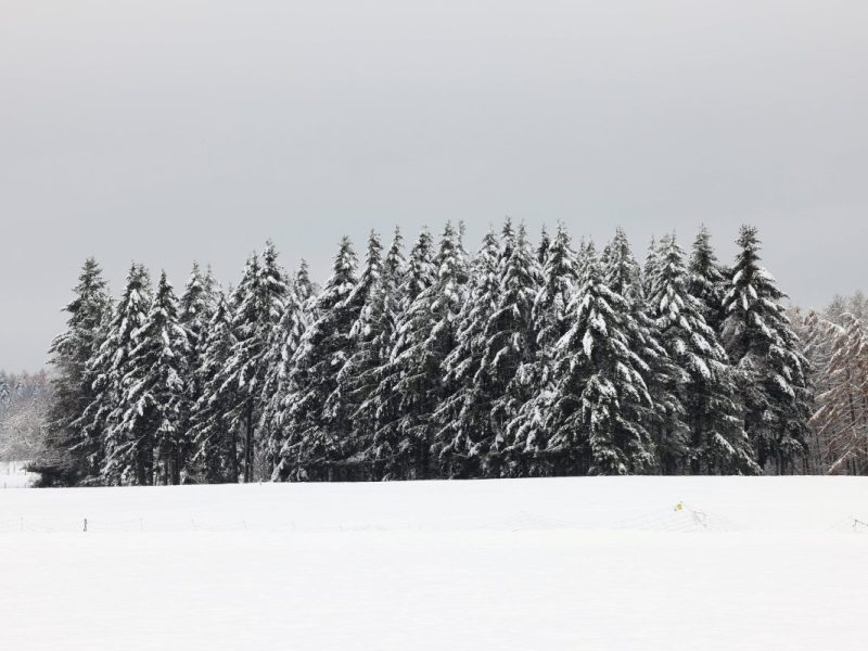 Wetter in Niedersachsen