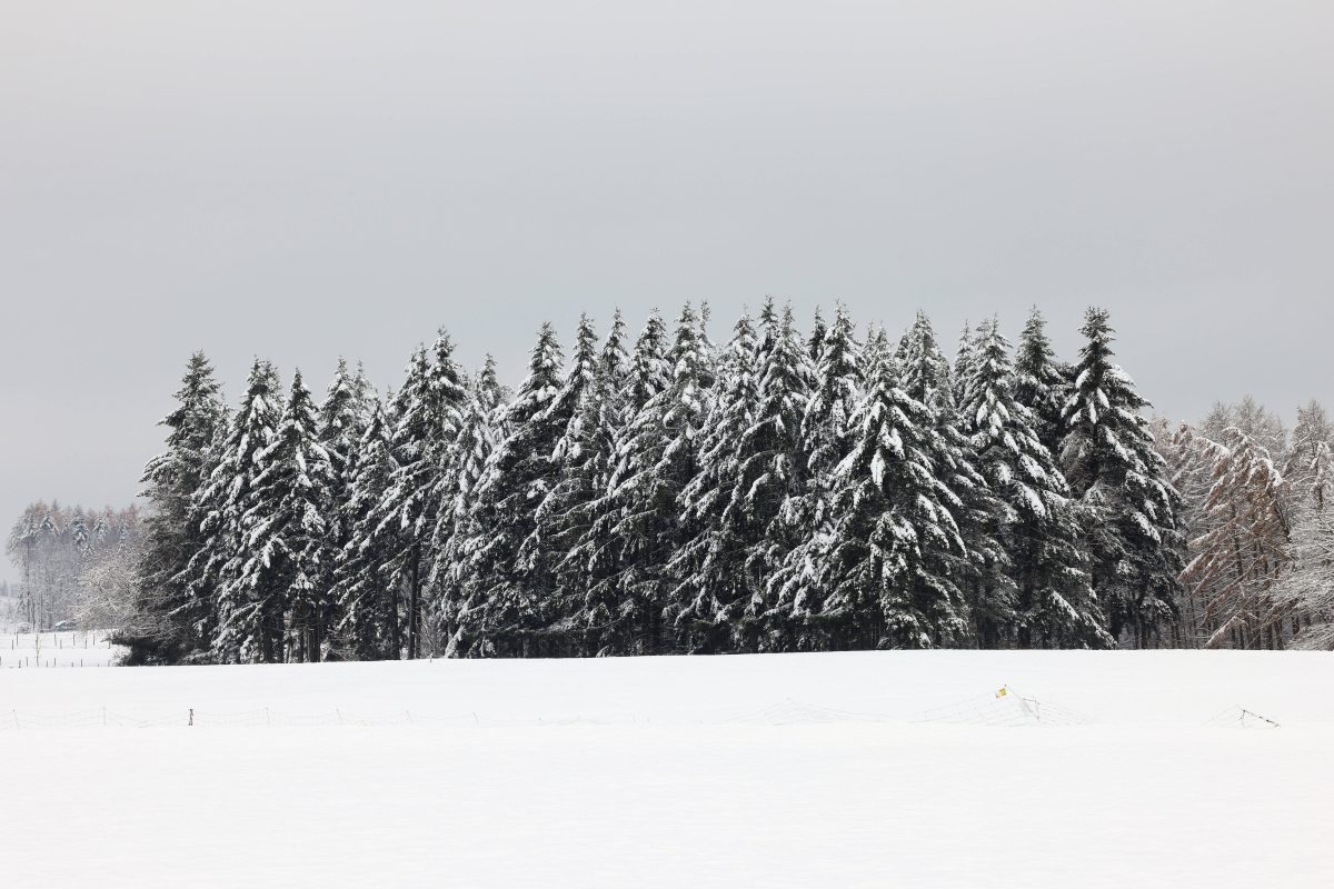 Wetter in Niedersachsen