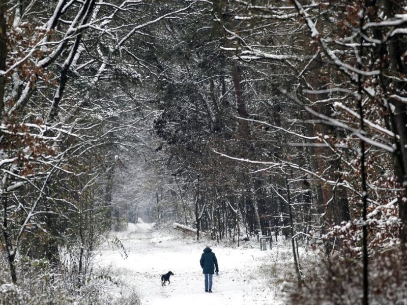 Sturm im Harz