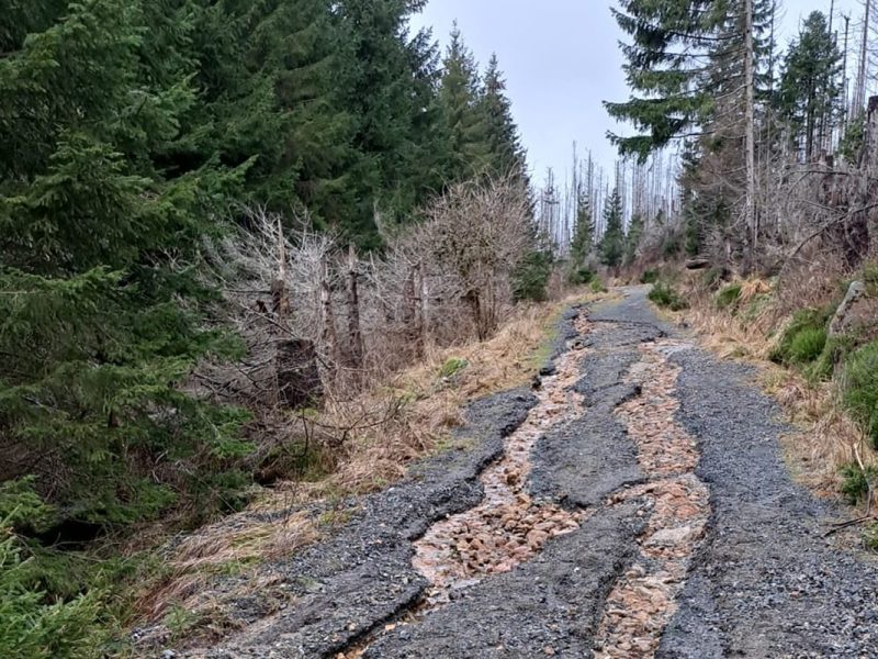 So sehen manche Wege im Harz derzeit aus.