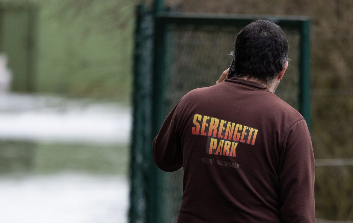 Der Serengeti-Park in Hodenhagen meldet Nachwuchs.