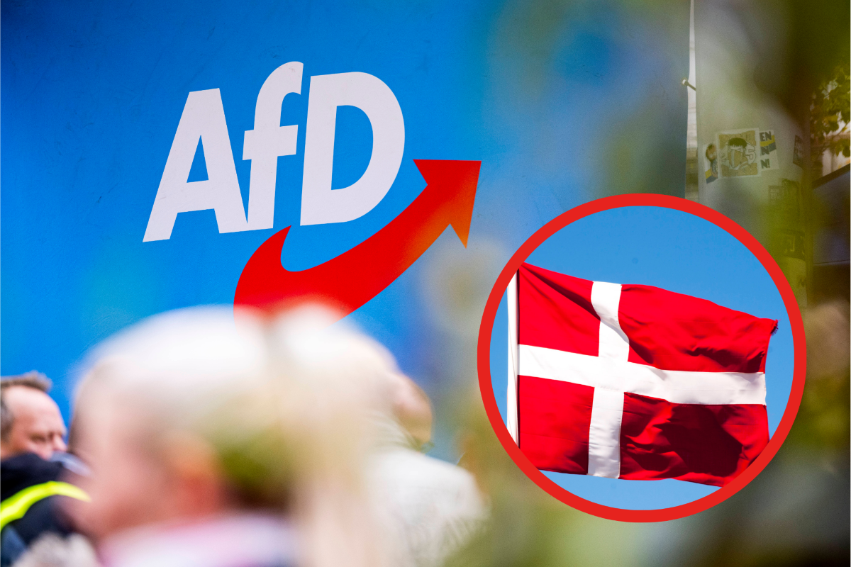 Kann das Asyl-Modell aus Dänemark die AfD stoppen?