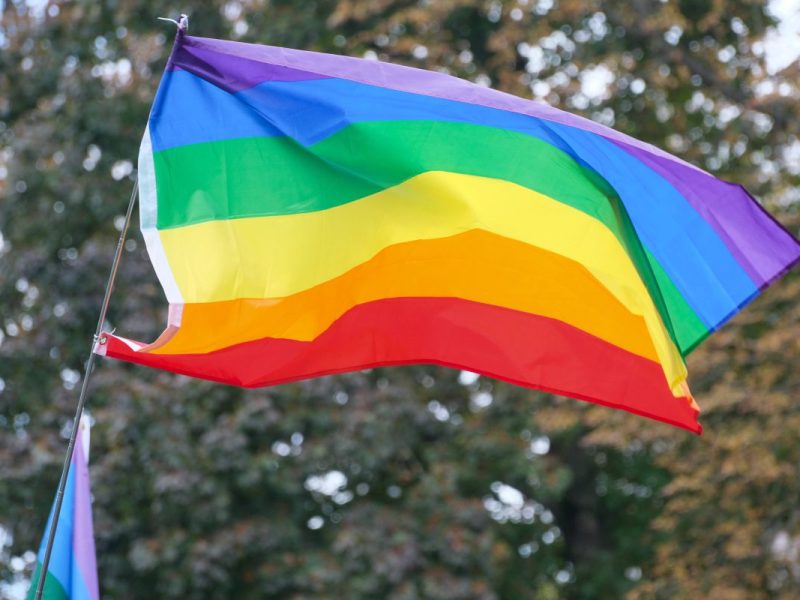 Eine Serie von Attacken auf Regenbogenflaggen hatte Wesendorf monatelang beschäftigt. Jetzt meldet die Polizei Gifhorn einen Ermittlungserfolg.