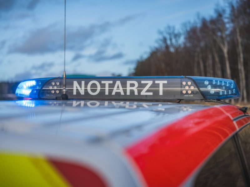 kreis gifhorn