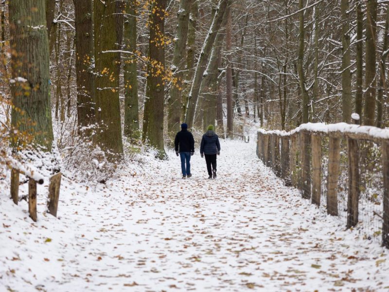 Paar spaziert im Schnee