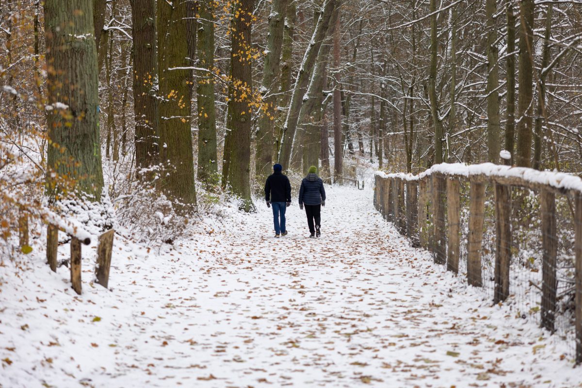 Paar spaziert im Schnee