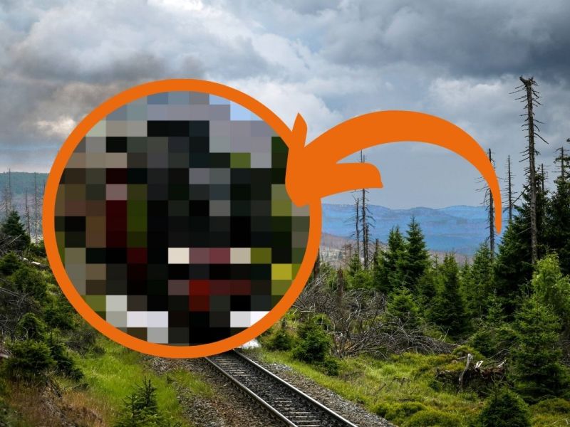 Harzer Bahnen