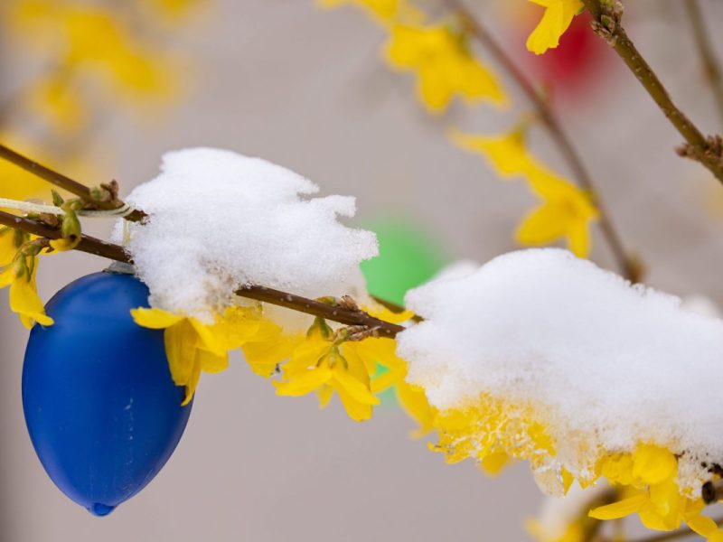 Wetter in Niedersachsen