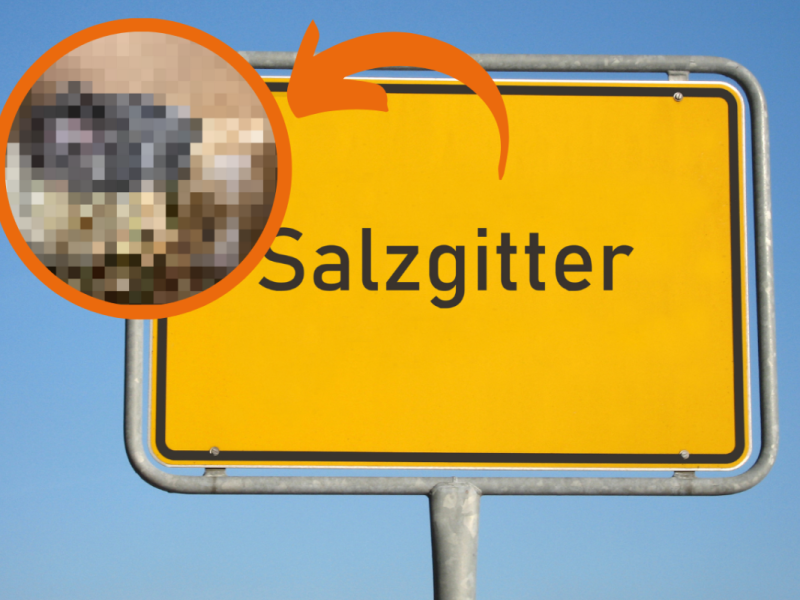 Salzgitter