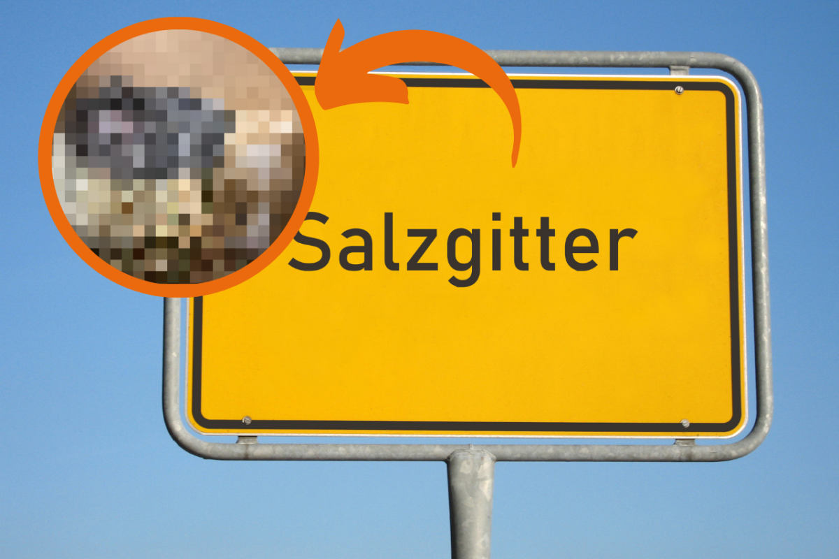 Salzgitter